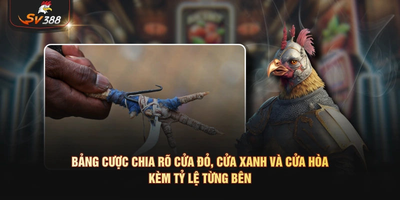 Bảng cược chia rõ cửa đỏ, cửa xanh và cửa hòa kèm tỷ lệ từng bên