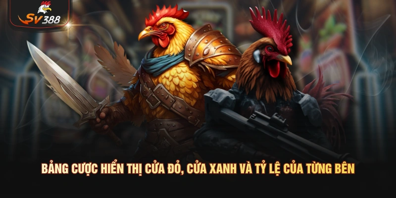 Đá Gà C2 Là Gì? Kinh Nghiệm Soi Kèo Chuẩn Từ Cao Thủ Thomo Bảng cược hiển thị cửa đỏ, cửa xanh và tỷ lệ của từng bên