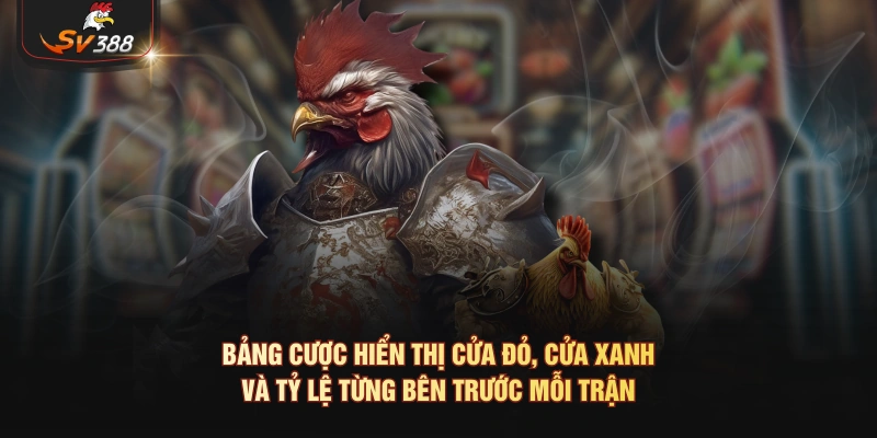 Đá Gà C1 - Vì Sao Người Xem Hay Nhắc Đến Tên Sới Này Bảng cược hiển thị cửa đỏ, cửa xanh và tỷ lệ từng bên trước mỗi trận