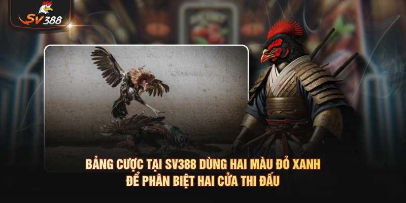 Bảng cược tại SV388 dùng hai màu đỏ xanh để phân biệt hai cửa thi đấu