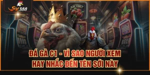 Đá gà C1