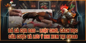 Đá gà cựa dao
