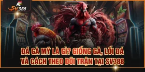 Đá gà Mỹ