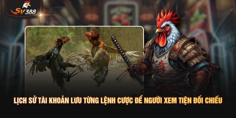 Đá Gà Mỹ Là Gì? Giống Gà, Lối Đá Và Cách Theo Dõi Trận Tại SV388 Lịch sử tài khoản lưu từng lệnh cược để người xem tiện đối chiếu