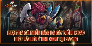 Luật đá gà miền Bắc