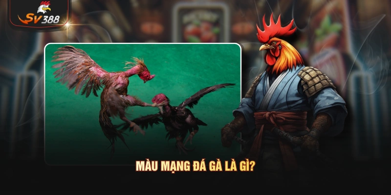 Màu mạng đá gà là gì?