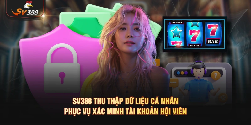 Chính Sách Bảo Mật SV388 2026 - Minh Bạch, An Toàn SV388 thu thập dữ liệu cá nhân phục vụ xác minh tài khoản hội viên