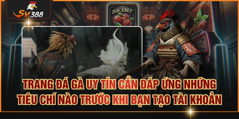Trang đá gà uy tín