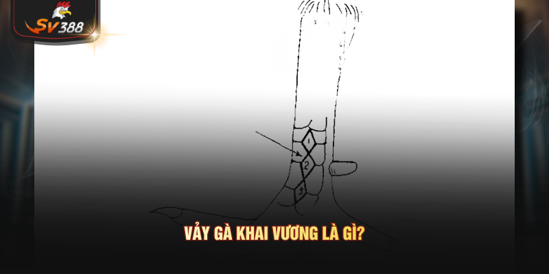 Vảy gà khai vương là gì?